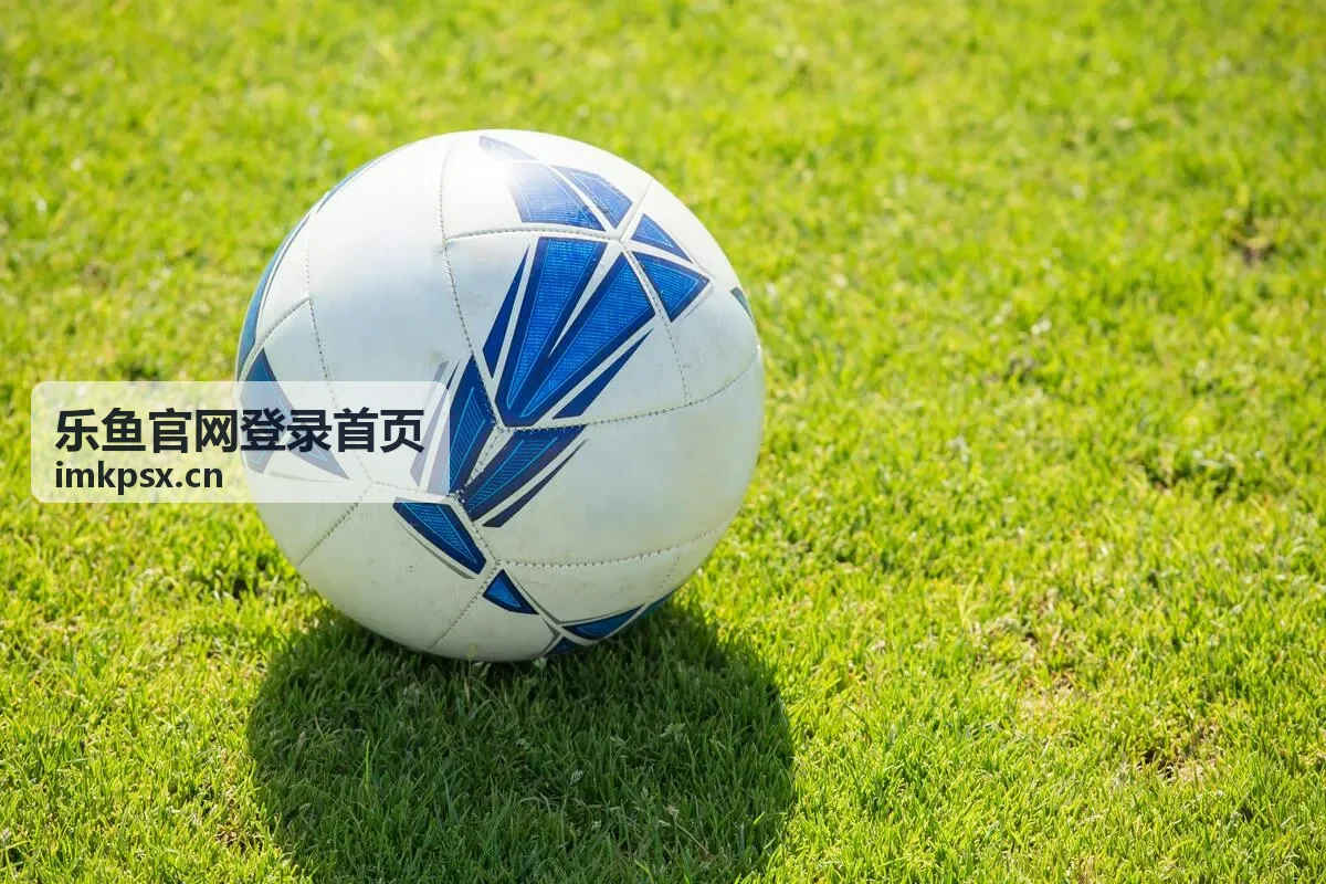 乐鱼官网登录首页登录入口与指引界面示意