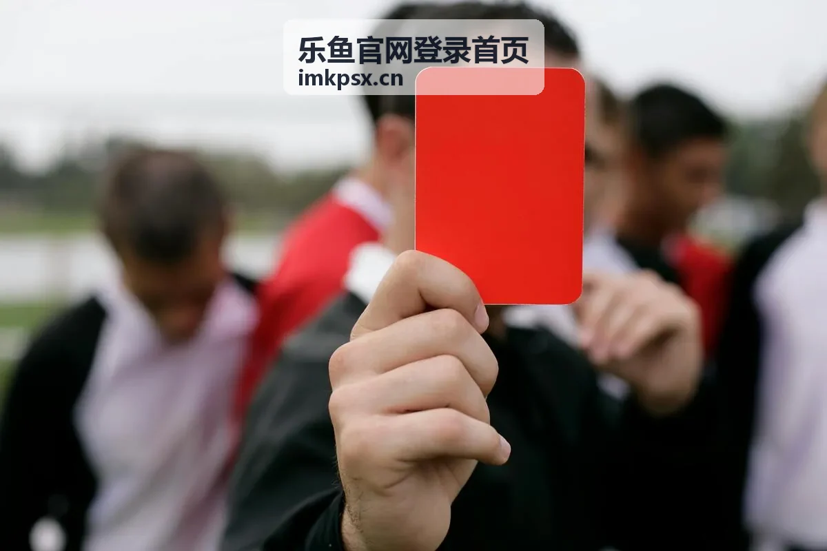 乐鱼官网登录首页账号安全设置示意